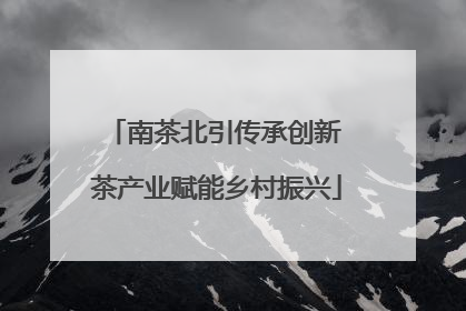 南茶北引传承创新 茶产业赋能乡村振兴