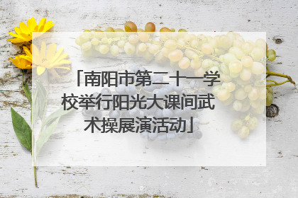 南阳市第二十一学校举行阳光大课间武术操展演活动