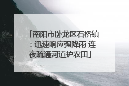 南阳市卧龙区石桥镇：迅速响应强降雨 连夜疏通河道护农田
