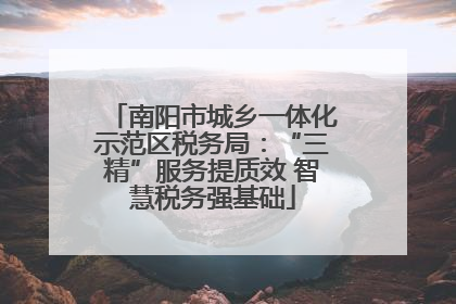 南阳市城乡一体化示范区税务局：“三精”服务提质效 智慧税务强基础