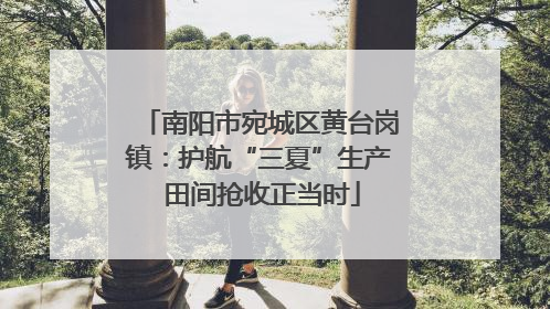南阳市宛城区黄台岗镇：护航“三夏”生产 田间抢收正当时