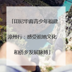印尼华裔青少年福建漳州行：感受祖地文化和侨乡发展脉搏