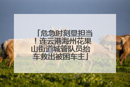 危急时刻显担当！连云港海州花果山街道城管队员抬车救出被困车主