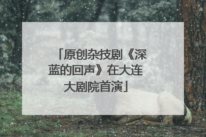 原创杂技剧《深蓝的回声》在大连大剧院首演