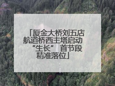 厦金大桥刘五店航道桥西主塔启动“生长” 首节段精准落位