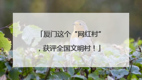 厦门这个“网红村”，获评全国文明村！