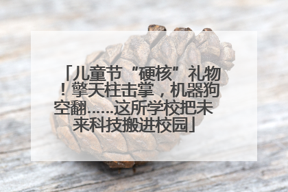 儿童节“硬核”礼物！擎天柱击掌，机器狗空翻……这所学校把未来科技搬进校园