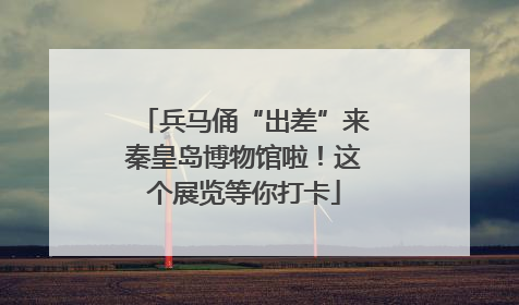 兵马俑“出差”来秦皇岛博物馆啦！这个展览等你打卡