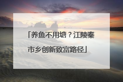 养鱼不用塘？江陵秦市乡创新致富路径