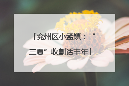 兖州区小孟镇：“三夏”收割话丰年