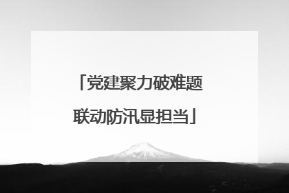 党建聚力破难题 联动防汛显担当