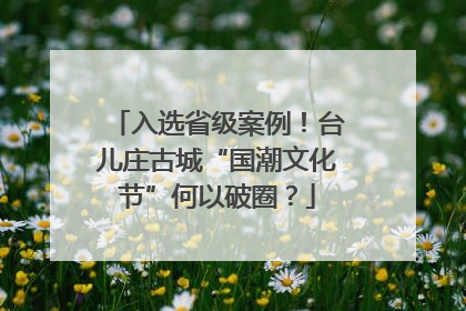 入选省级案例！台儿庄古城“国潮文化节”何以破圈？