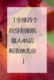 全球首个具身智能机器人4S店将落地北京