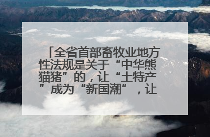 全省首部畜牧业地方性法规是关于“中华熊猫猪”的，让“土特产”成为“新国潮”，让“农产品”升格为“城市IP”
