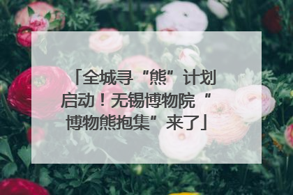 全城寻“熊”计划启动！无锡博物院“博物熊抱集”来了