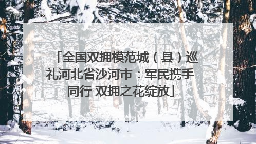 全国双拥模范城（县）巡礼河北省沙河市：军民携手同行 双拥之花绽放
