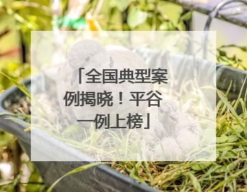 全国典型案例揭晓！平谷一例上榜
