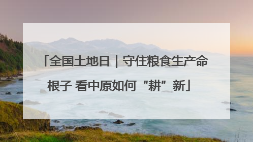 全国土地日｜守住粮食生产命根子 看中原如何“耕”新