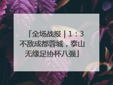 全场战报｜1：3不敌成都蓉城，泰山无缘足协杯八强