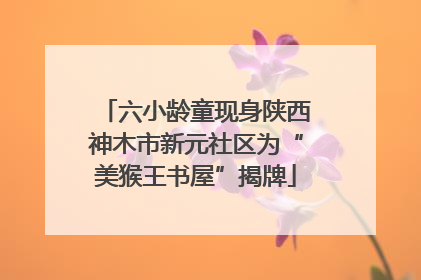 六小龄童现身陕西神木市新元社区为“美猴王书屋”揭牌