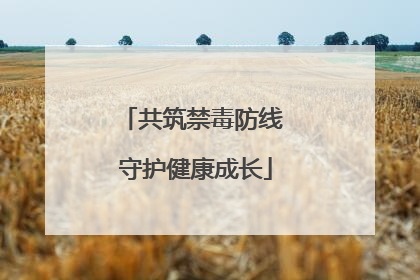 共筑禁毒防线 守护健康成长