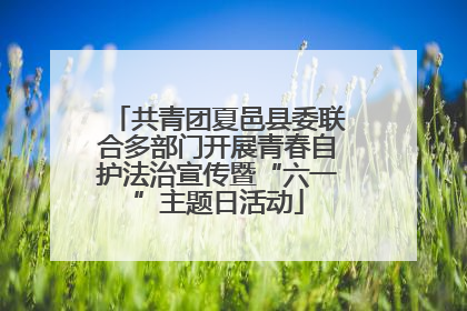 共青团夏邑县委联合多部门开展青春自护法治宣传暨“六一”主题日活动