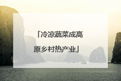 冷凉蔬菜成高原乡村热产业