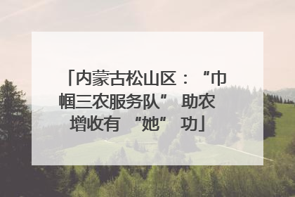 内蒙古松山区：“巾帼三农服务队” 助农增收有 “她” 功