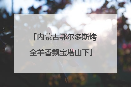 内蒙古鄂尔多斯烤全羊香飘宝塔山下