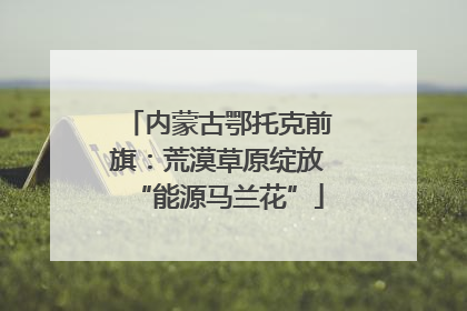 内蒙古鄂托克前旗：荒漠草原绽放“能源马兰花”