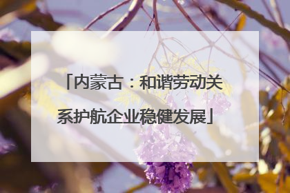 内蒙古：和谐劳动关系护航企业稳健发展