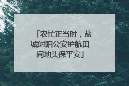 农忙正当时，盐城射阳公安护航田间地头保平安