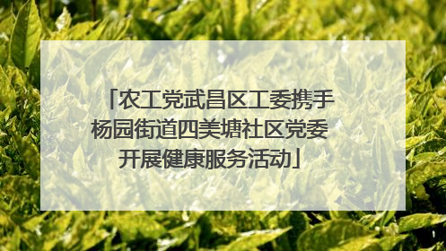 农工党武昌区工委携手杨园街道四美塘社区党委开展健康服务活动