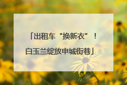 出租车“换新衣”！白玉兰绽放申城街巷