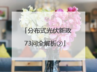 分布式光伏新政73问全解析②