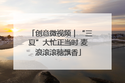 创意微视频｜“三夏”大忙正当时 麦浪滚滚穗飘香