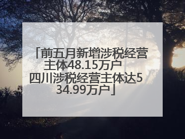 前五月新增涉税经营主体48.15万户 四川涉税经营主体达534.99万户