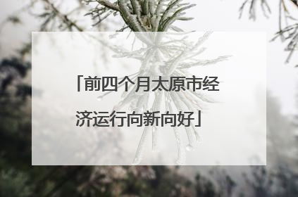 前四个月太原市经济运行向新向好