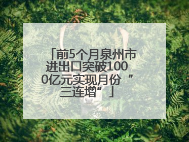 前5个月泉州市进出口突破1000亿元实现月份“三连增”