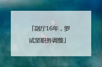 副厅16年，罗试坚职务调整