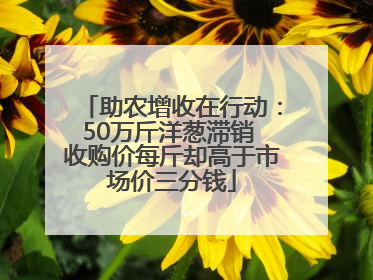 助农增收在行动：50万斤洋葱滞销 收购价每斤却高于市场价三分钱