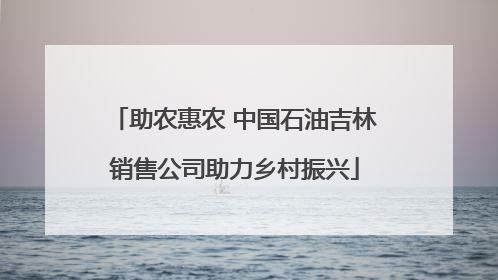 助农惠农 中国石油吉林销售公司助力乡村振兴