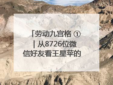 劳动九宫格 ①｜从8726位微信好友看王星苹的公益信仰与坚持