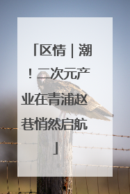 区情｜潮！二次元产业在青浦赵巷悄然启航
