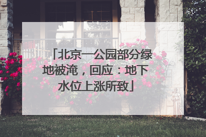 北京一公园部分绿地被淹，回应：地下水位上涨所致