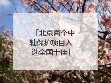 北京两个中轴保护项目入选全国十佳