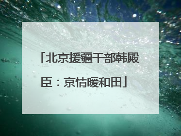 北京援疆干部韩殿臣：京情暖和田