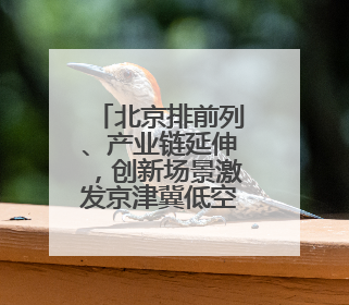 北京排前列、产业链延伸，创新场景激发京津冀低空经济新活力