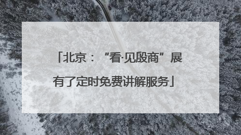 北京：“看·见殷商”展有了定时免费讲解服务