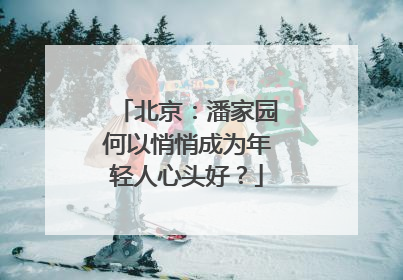 北京：潘家园何以悄悄成为年轻人心头好？